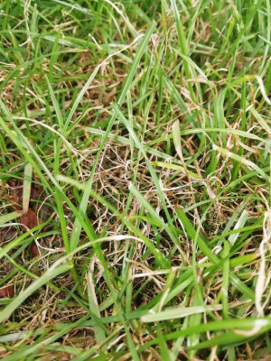 IMG_20190524_180854.jpg