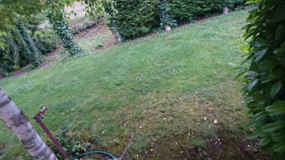 zone avec 25 cm de terre