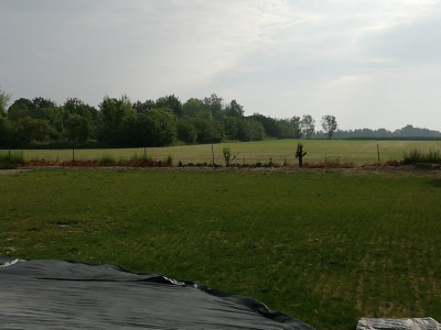 IMG_20190525_085041.jpg