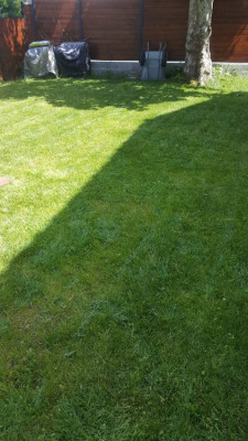20190529_153803_resized.jpg