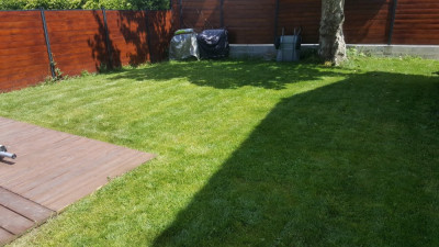20190529_153808_resized.jpg