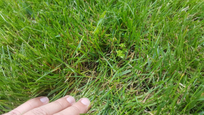 20190529_153814_resized.jpg