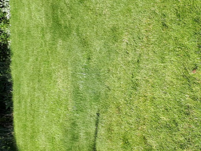 20190531_184942.jpg