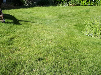 20190531_184927.jpg