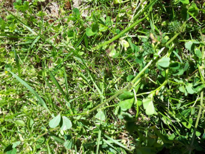 20190601_115643.jpg