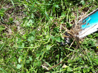 20190601_115733.jpg