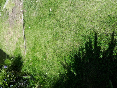 20190601_115528.jpg