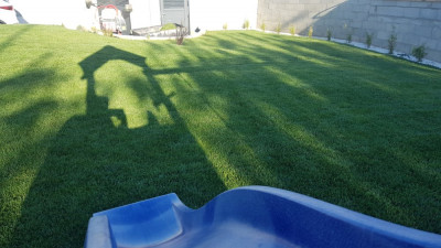 20190601_190530.jpg