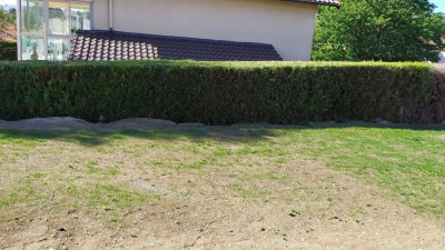 IMG_20190602_095014.jpg