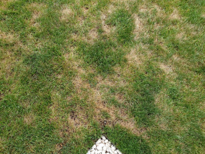 20190527_132550.jpg