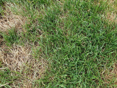 20190527_171232.jpg