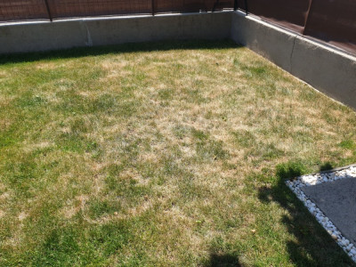20190602_135540.jpg