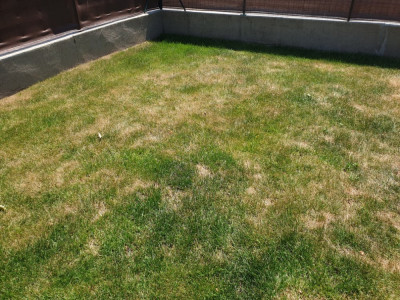 20190602_135543.jpg