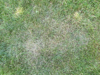 20190602_135551.jpg