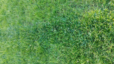 20190602_194422.jpg