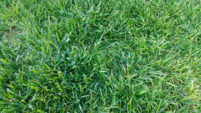 20190602_194343.jpg