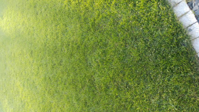 20190602_194314.jpg