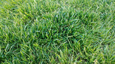 20190602_194412.jpg