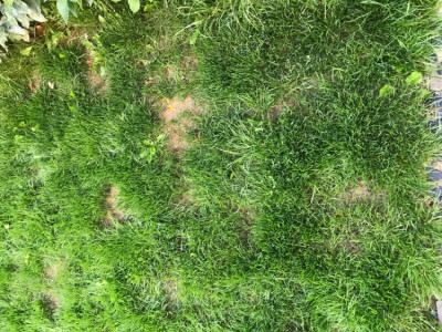 B1AEB893-7109-45DF-8F53-567B9559FAFA.jpeg