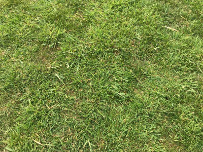 E4725DE6-2E82-454F-B2CD-619F0903774E.jpeg