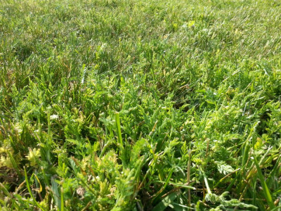 20190603_190639.jpg