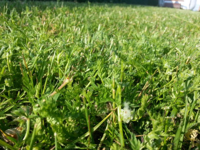 20190603_190732.jpg