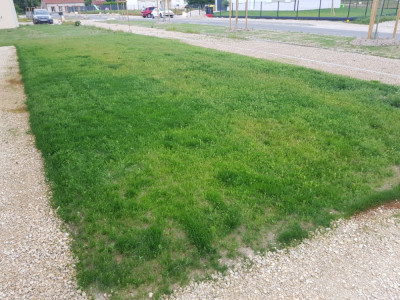 20190604_064135.jpg