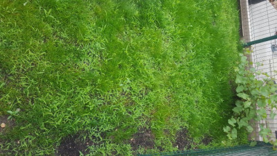 20190605_110731_002.jpg