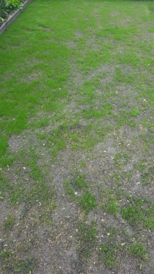 20190519_131733.jpg