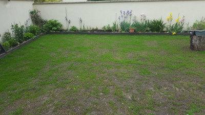20190519_131817.jpg
