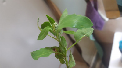 20190605_100704.jpg