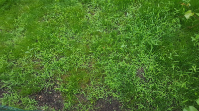 20190605_110654.jpg