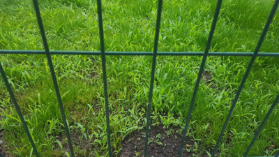 20190605_110713.jpg