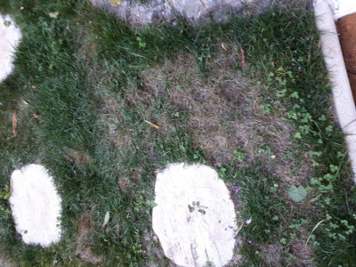 20190605_182917.jpg