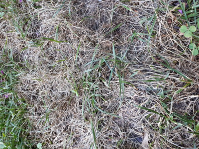 20190605_182912.jpg