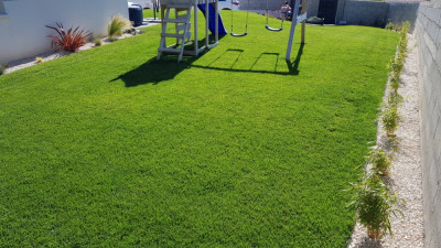 20190608_094656.jpg