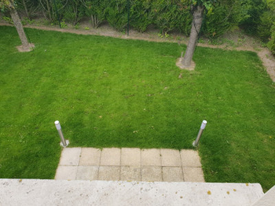20190608_160330.jpg