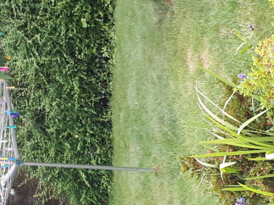 20190609_180850.jpg