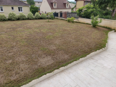 Jardin (1).jpg