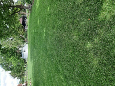 20190611_111831.jpg