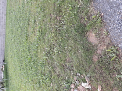 20190610_111006.jpg
