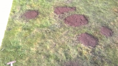 WP_20160411_004.jpg