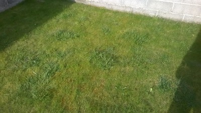 WP_20160411_001.jpg