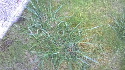 WP_20160411_002.jpg