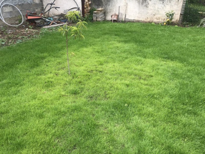 photo10.jpg