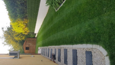 20190613_210029.jpg