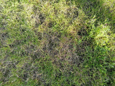 1560621115-img-20190615-192317.jpg