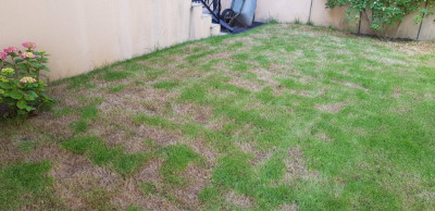 20190614_183031[1].jpg