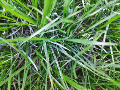 IMG_20190617_122549.jpg