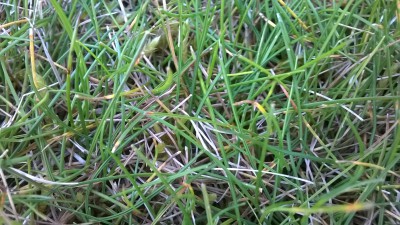 WP_20160413_002.jpg